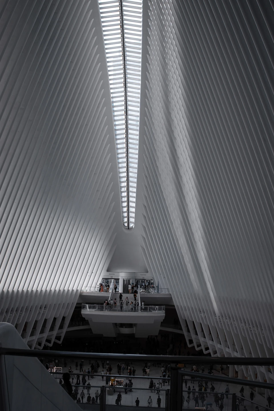 Black and white view up through the ribbed white interior of the Oculus in New York