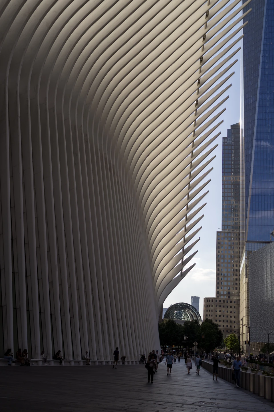 White steel ribs of the Oculus rising against a blue sky beside lower Manhattan towers
